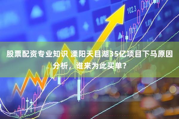 股票配资专业知识 溧阳天目湖35亿项目下马原因分析，谁来为此买单？