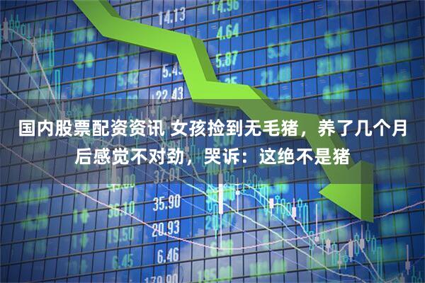 国内股票配资资讯 女孩捡到无毛猪，养了几个月后感觉不对劲，哭诉：这绝不是猪